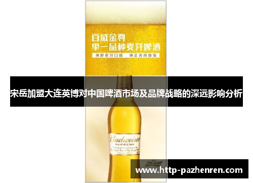 宋岳加盟大连英博对中国啤酒市场及品牌战略的深远影响分析