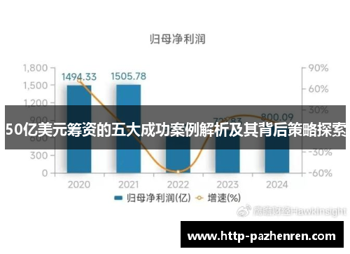 50亿美元筹资的五大成功案例解析及其背后策略探索