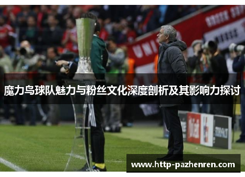魔力鸟球队魅力与粉丝文化深度剖析及其影响力探讨 魔力鸟球队魅力与粉丝文化深度剖析及其影响力探讨