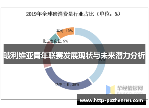 玻利维亚青年联赛发展现状与未来潜力分析