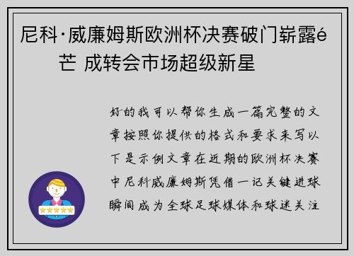 尼科·威廉姆斯欧洲杯决赛破门崭露锋芒 成转会市场超级新星